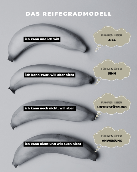 Das Reifegradmodell Das Reifegradmodell aus der Führungslehre - dargestellt mit Hilfe von Bananen